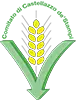 castellazzodestampi.org